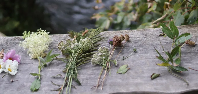 The Commons Way